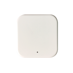 copy of Hummingbird printed t-shirt