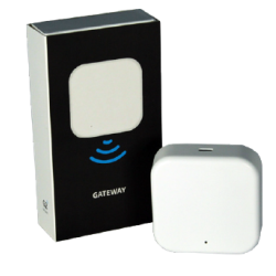 copy of Hummingbird printed...