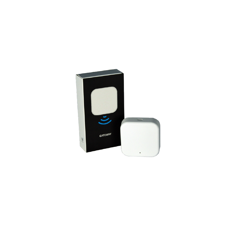 copy of Hummingbird printed t-shirt