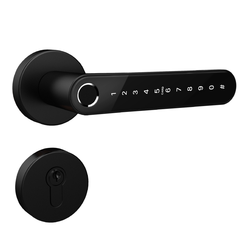 LOK +, Cerradura inteligente SEYO,  Color Plata